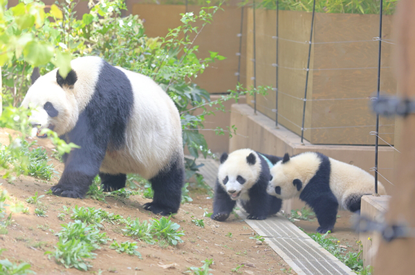 上野動物園