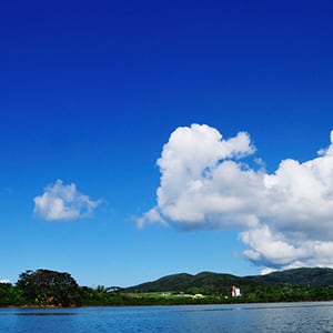 仲間川の写真