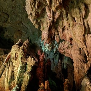 龍河洞の写真